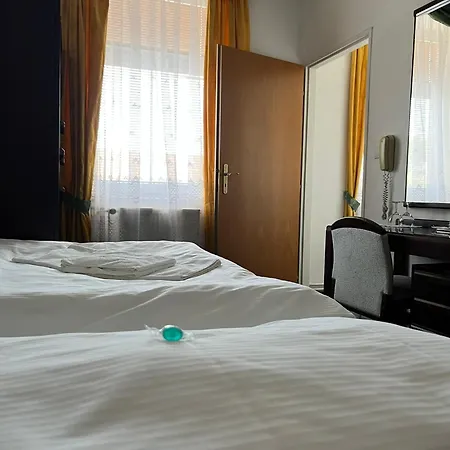 Omega 3* Brno
