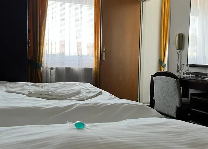 Omega 3* Brno